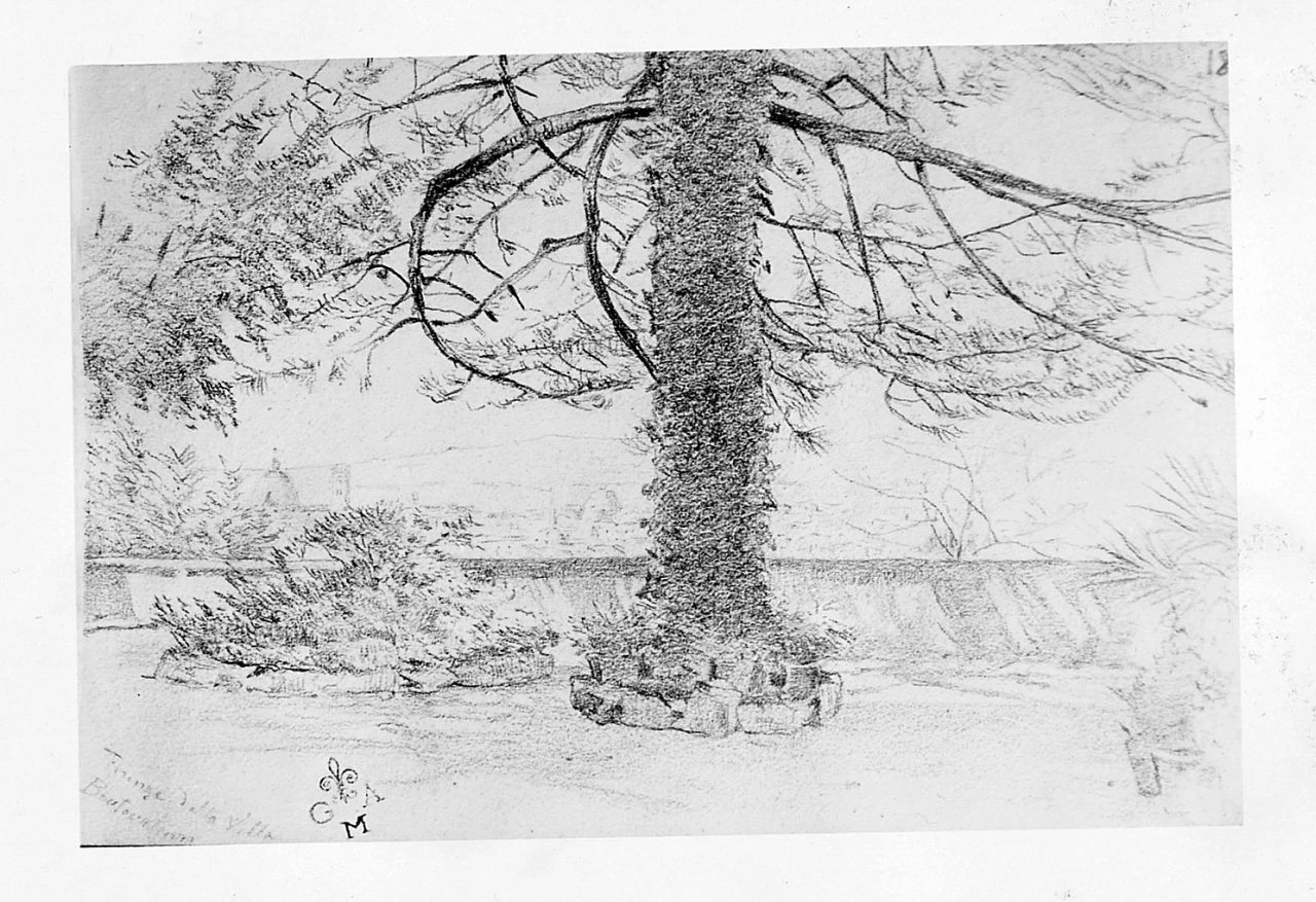 Veduta di Firenze da Villa Bontourline - Gallerie degli Uffizi, Firenze